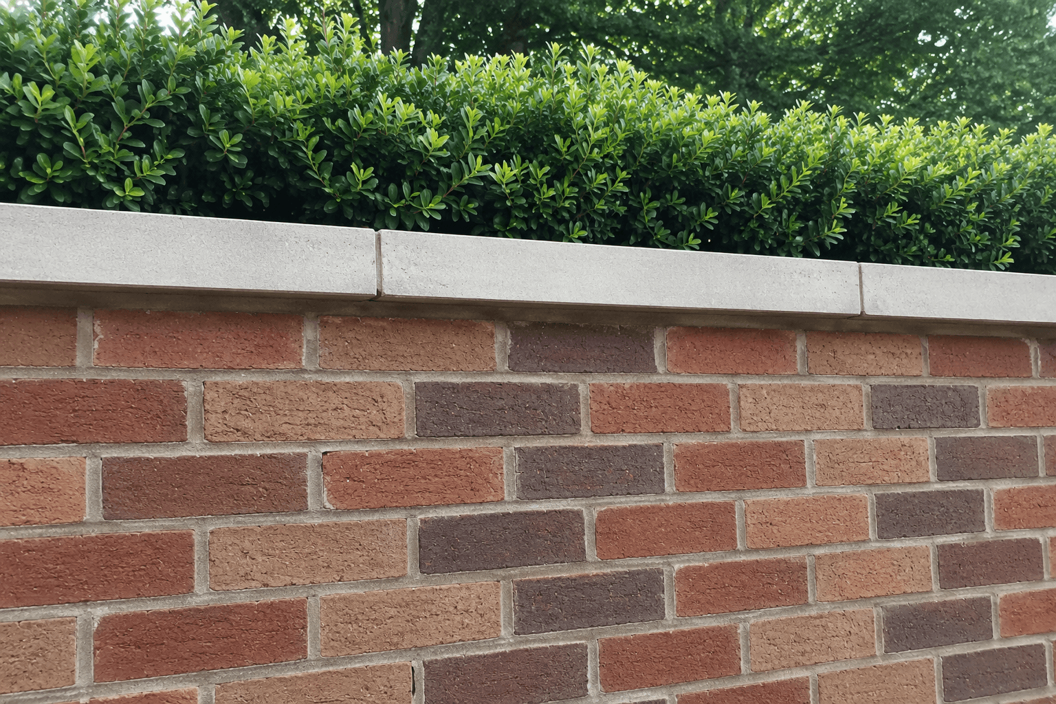 Paver sealing placeholder showing clean sealed pavers and restored joints.